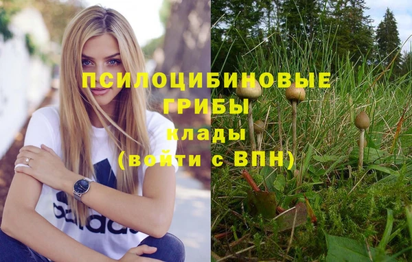 гашиш Белокуриха