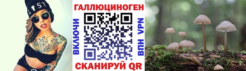 Галлюциногенные грибы MAGIC MUSHROOMS Пойковский